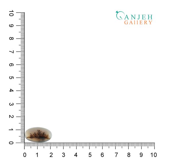 نگین عقیق شجر قاصدکی اصل کد N868-8