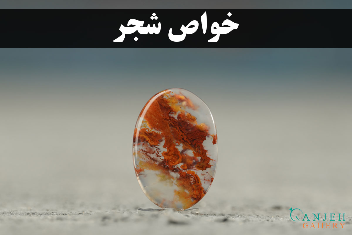 خواص شجر | گالری جواهرات گنجه