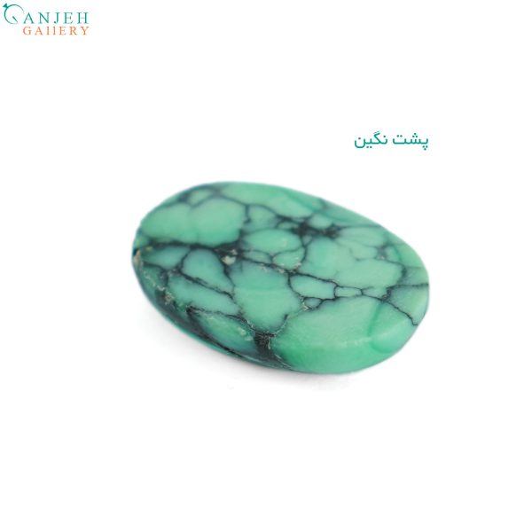 نگین واریسیت شجر بیضی شکل کد N360-2