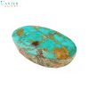 سنگ فیروزه نیشابور شجر رگه طلایی کد N831-3