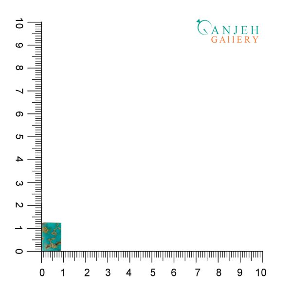 سنگ فیروزه نیشابور شجر آبی کد N835-4