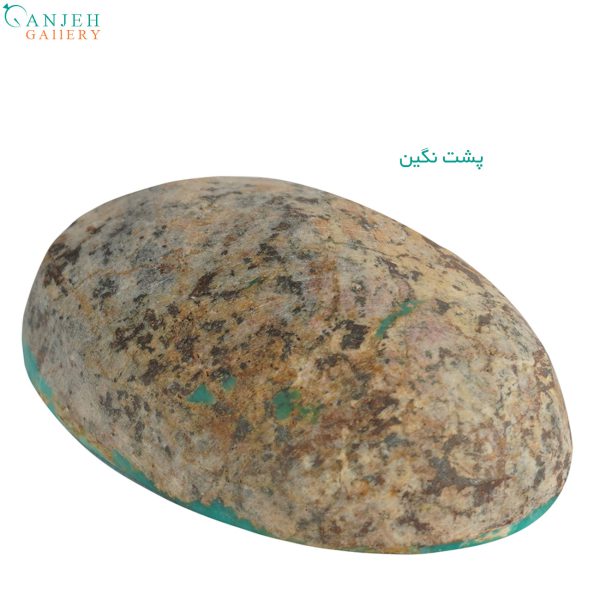 سنگ فیروزه نیشابوری طرح شجر معدنی کد N857-2