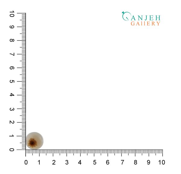 نگین عقیق شجر قاصدکی کد N871-۱