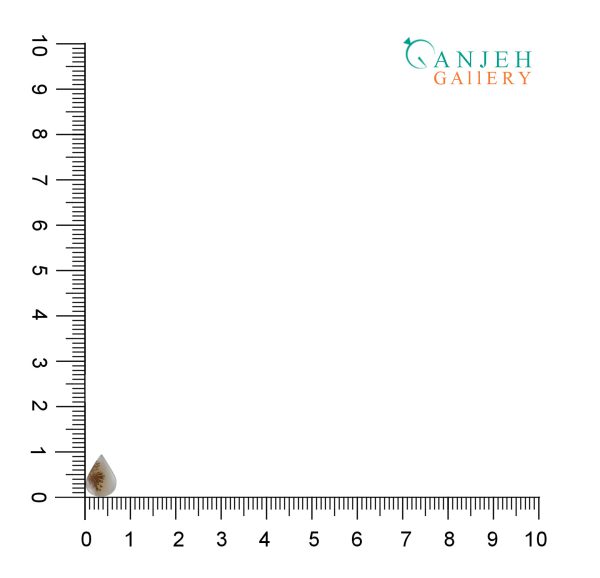 نگین عقیق شجر قاصدکی سمنان طبیعی کد N894-8