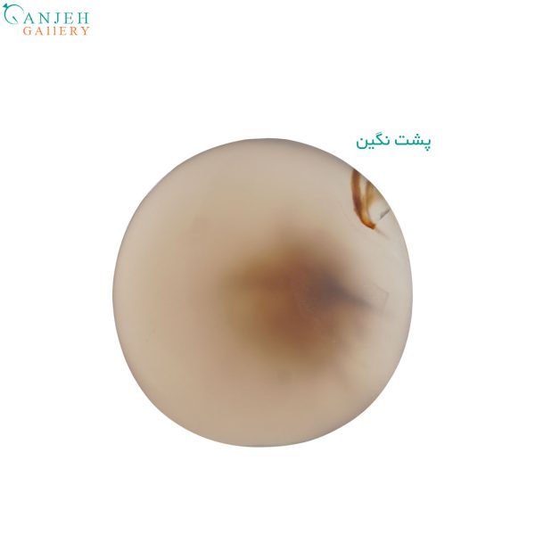 سنگ عقیق شجر قاصدکی تراش دایروی کد N898-2