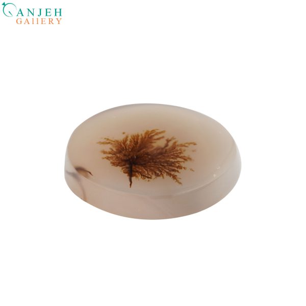 سنگ عقیق شجر قاصدکی تراش دایروی کد N898-3