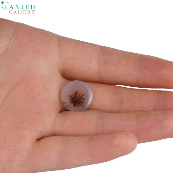 سنگ عقیق شجر قاصدکی تراش دایروی کد N898-4