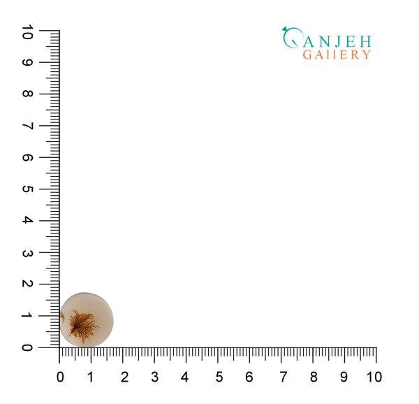 سنگ عقیق شجر قاصدکی تراش دایروی کد N898-5