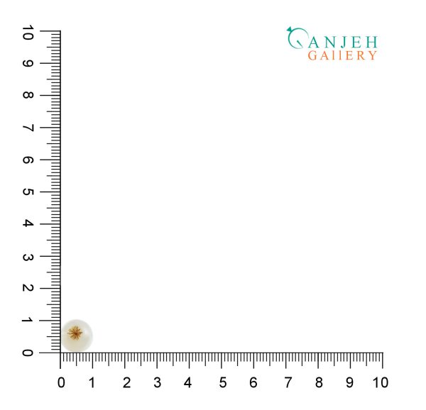 نگین دایروی عقیق شجر قاصدکی کد N899-5