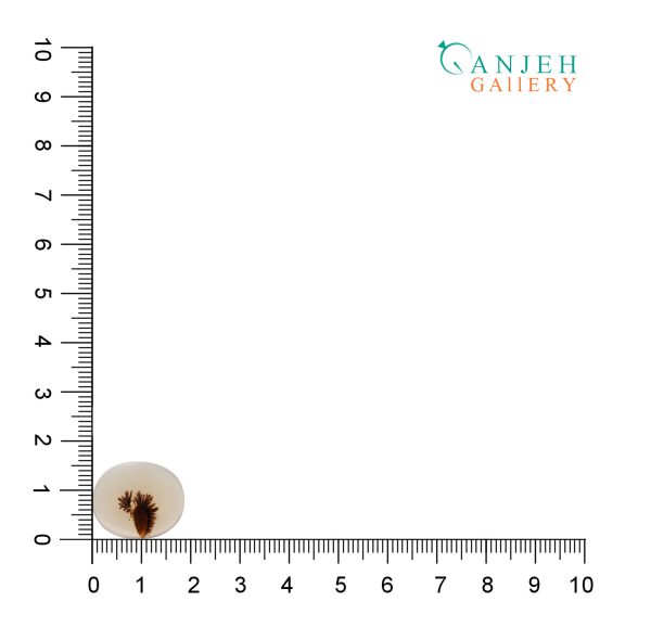 سنگ عقیق شجر قاصدکی سمنان طبیعی کد N901-5