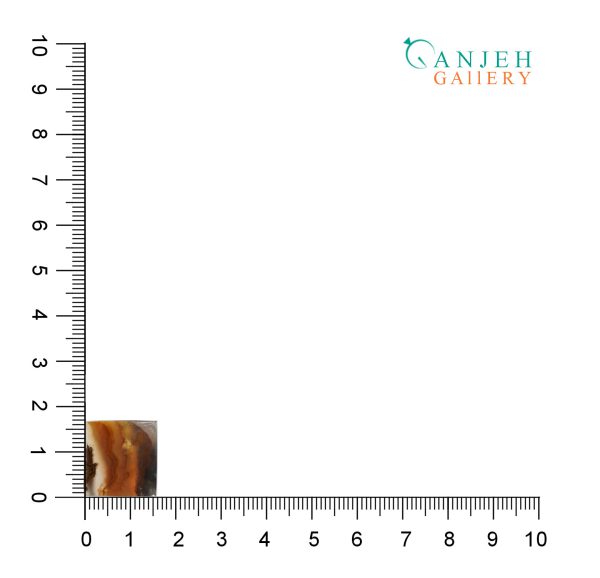 نگین مستطیل عقیق شجر پاییزی کد N918-5