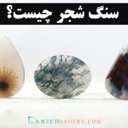 سنگ شجر | معرفی انواع عقیق شجر، خواص و تشخیص سنگ اصل | گالری گنجه