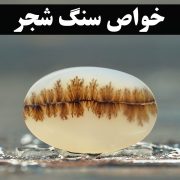 خواص سنگ شجر | گالری جواهرات گنجه