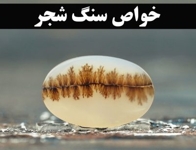 خواص سنگ شجر | گالری جواهرات گنجه